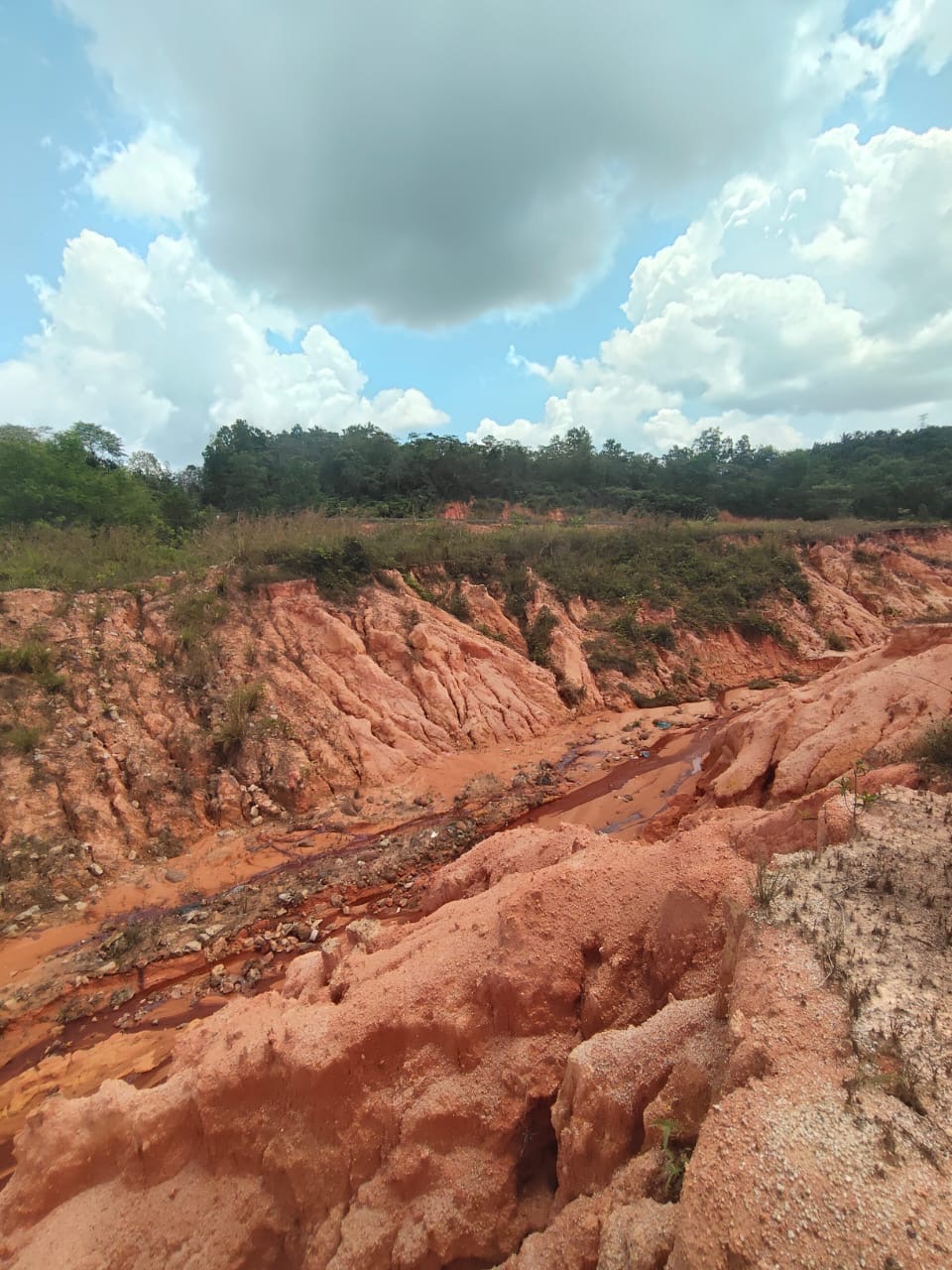 Existing ground condition at the Senai industrial land
