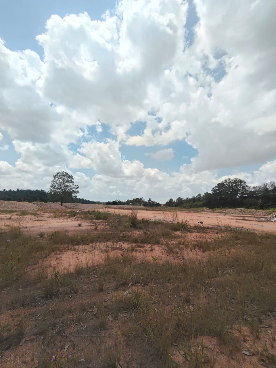 Wide actual-site view of the Seelong industrial land
